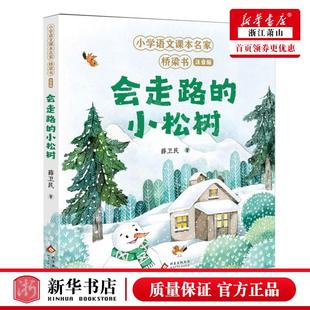 新华正版 会走路的小松树注音版小学语文课本名家桥梁书 作者:薛