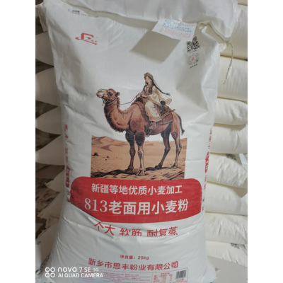 思丰813老面用小麦粉新疆优质小麦包子馒头个大软筋耐复蒸