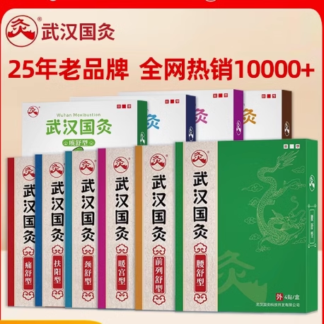武汉国灸镇痛关节炎风湿