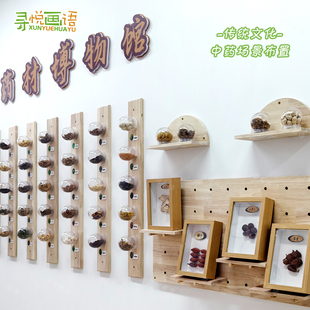 中药标本展示墙中药材标本文化墙中药场景布置中药材博物馆装 饰