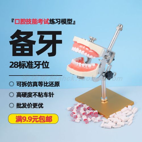 可开髓口腔技能考试练习仿真牙