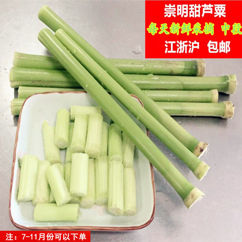 甜芦粟 上海崇明岛新鲜芦稷甜高粱杆水果江浙沪5斤包邮 冷链发货