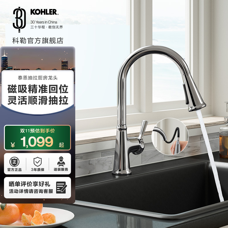 科勒泰恩下抽拉洗菜盆洗碗盆家用厨房龙头旋转冷热21415