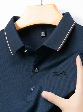 男士2025春秋季新款长袖t恤POLO衫中年爸爸春装poll翻领羊毛上衣