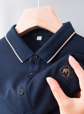 男士长袖t恤polo衫春秋季上衣中年爸爸装衬衫plol土打底内搭秋衣