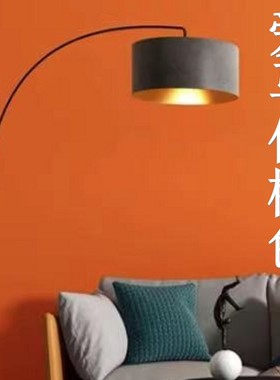 内墙爱马橙色乳胶漆环保涂料家装室内背景墙卧室自刷网红面漆