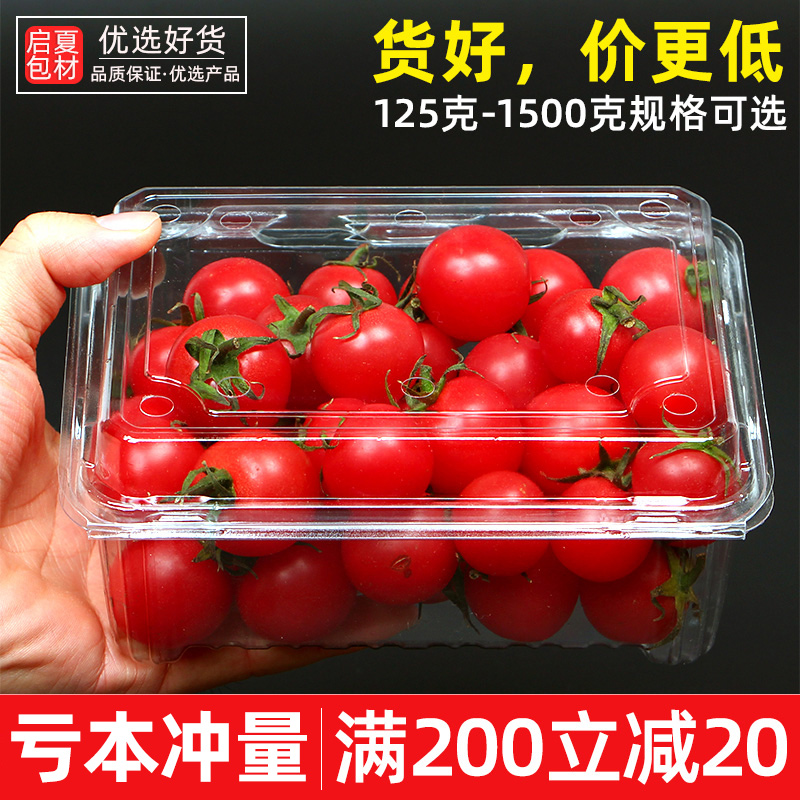 一次性水果盒子透明带盖草莓包装盒塑料食品盒打包一斤水果500克