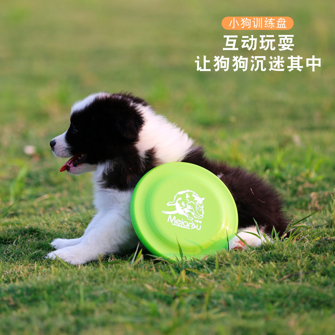meianju猫狗特色玩具狗狗训练盘图片