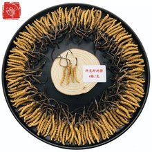 正品玉树冬虫夏草4根/克 精选冬虫草 正宗那曲礼盒虫草 西藏
