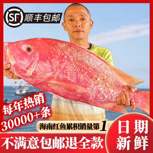 海南特产儋州红鱼干整条淡干日晒
