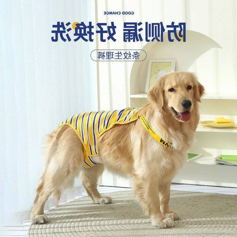 狗狗生理裤大型犬母狗拉布拉多