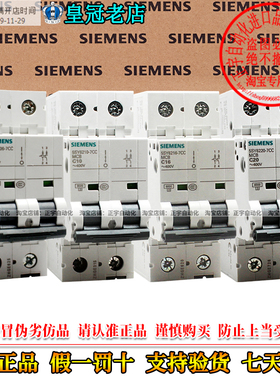 5SJ62西门子2P断路器C型10A 16-20A 5SY 6206 6210 6216 6220-7CC