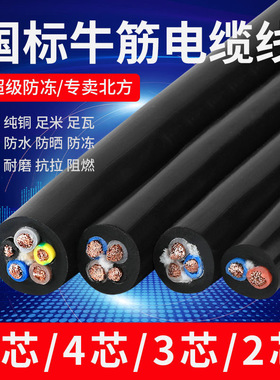 国标纯铜RVV电缆线2芯3芯1.5 2.5 4 6平方户外防水防晒耐磨护套线