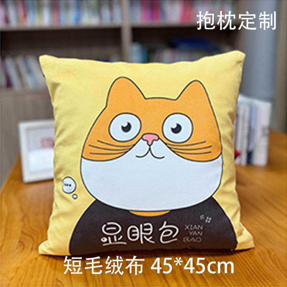 45X45CM抱枕来图定制PP高弹棉