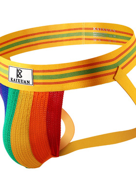 男士内裤 弹性锦纶棉混纺网孔透气面料宽筋性感低腰双丁裤 TJ113