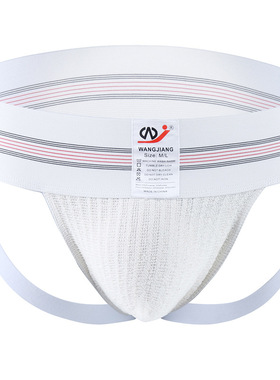 网将男士内裤 弹性尼龙棉混纺运动风宽筋性感低腰双丁裤1019-SD