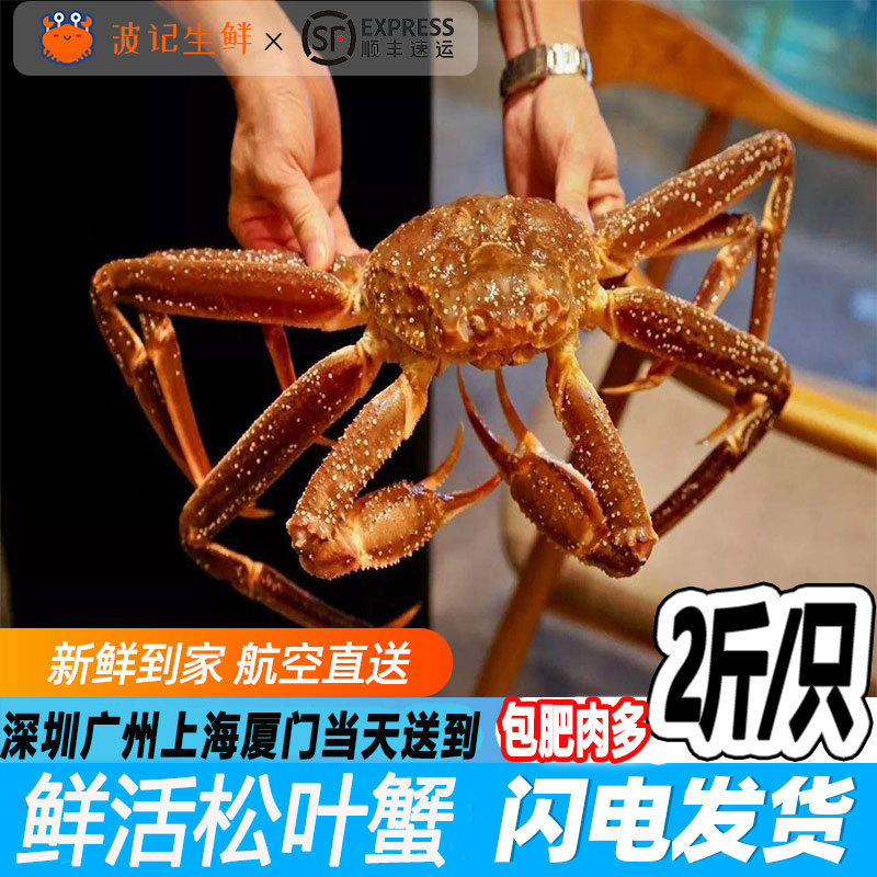 鲜活松叶蟹海鲜水产鲜活北海道进口帝王蟹大螃蟹鳕蟹板蟹长脚蟹腿