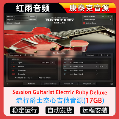 流行爵士空心吉他音源Session Guitarist Electric Ruby Deluxe