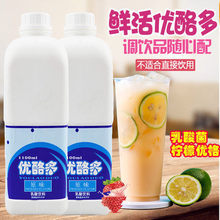 鲜活优酪多原味优格乳酸奶益菌多浓缩乳酸菌饮品优酪多奶茶店专用
