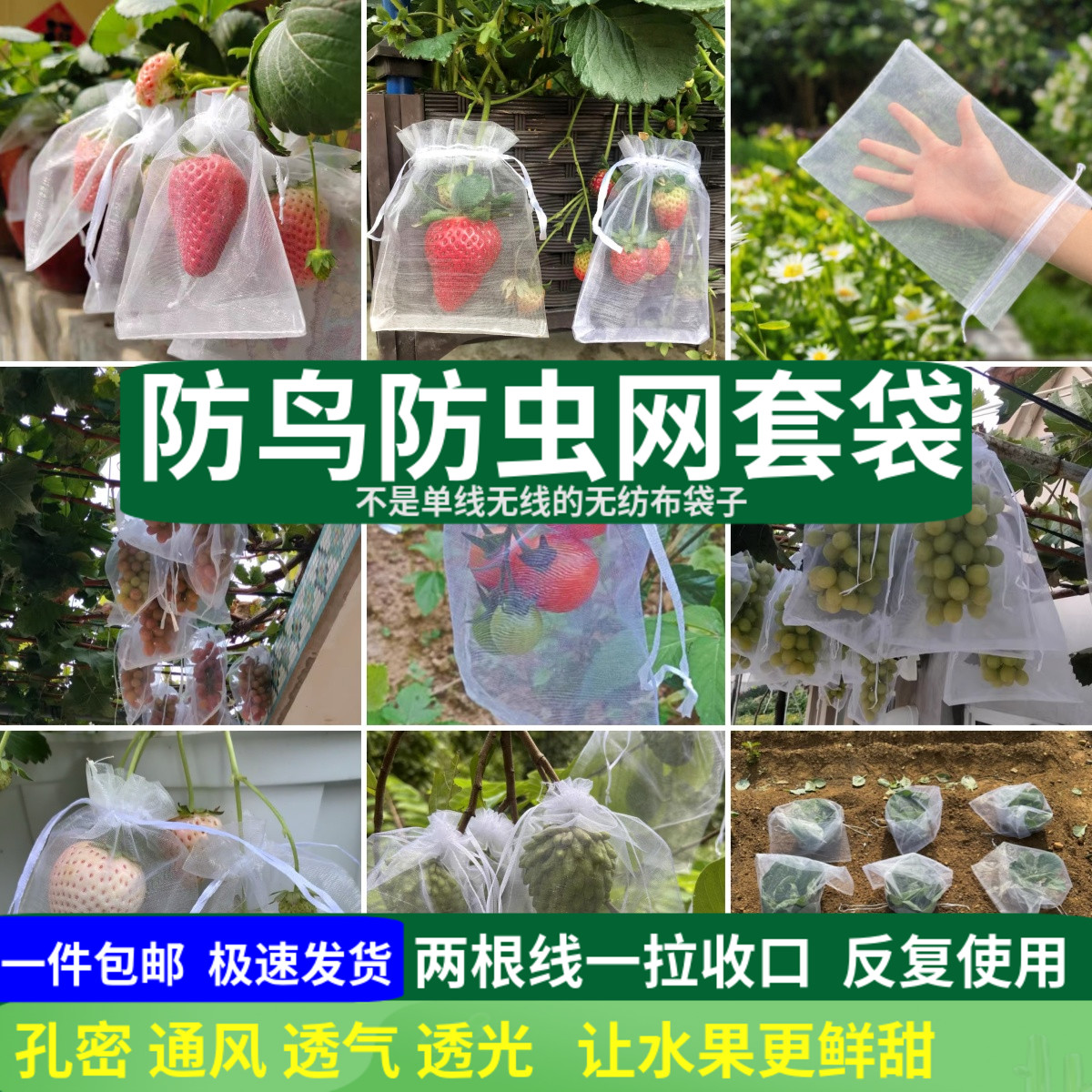 草莓水果套袋网袋番茄葡萄防虫网