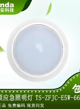 泰和安  吸顶应急照明灯 TS-ZFJC-E5W-6625B/6672 集中36V 全新