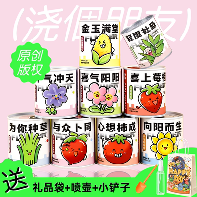 【现货速发】学生奖励DIY种植物