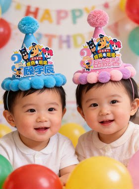拉布拉多生日帽电视投屏