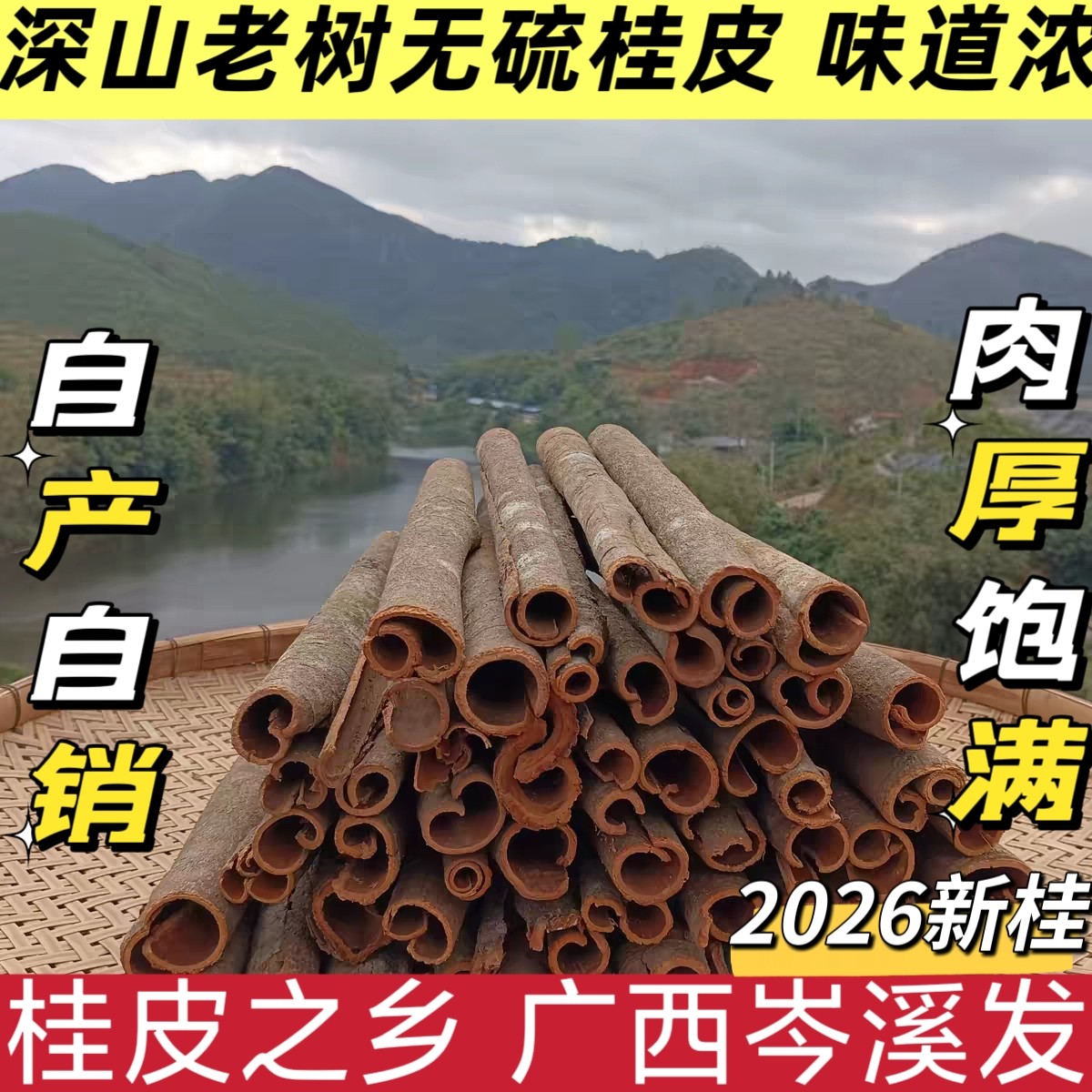 广西梧州桂皮农家自晒纯干货正宗森山老林特级桂厨房调料