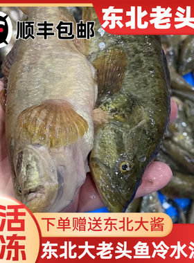 东北野老头鱼鲜活速冻全国包邮