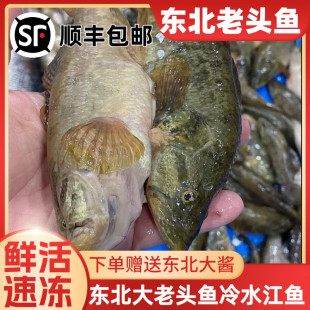 正宗东北老头鱼 大老头鱼 山胖头冷水江鱼淡水杂鱼 鲜活速冻发货