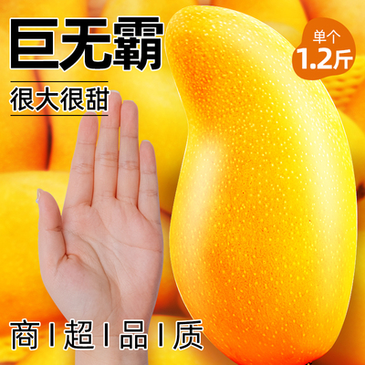 爆甜！正宗海南金煌芒9斤