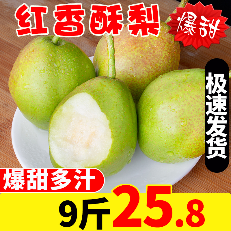 现摘!红香酥梨子净重9斤