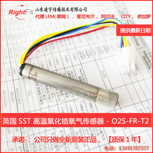 O2S-FR-T2氧化锆气体传感器