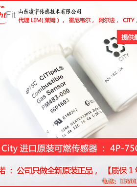 4P-75C英国CITY甲烷4P-90可燃4P-90C气体传感器BW仪表进口CAT25