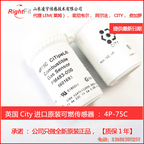 BW仪表4P-75C甲烷气体传感器可燃