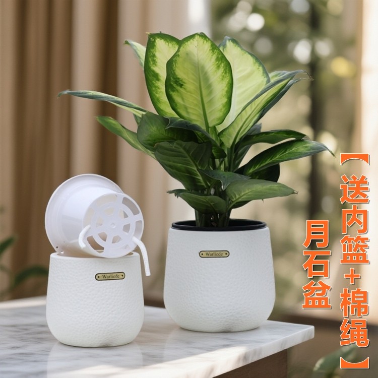 高颜值树脂蝴蝶兰自吸水花盆石斛球兰金钱树种植仿陶瓷花钵定植篮,鲜花速递/花卉仿真/绿植园艺,花盆,淘宝优惠券,粉丝福利购,淘宝优惠卷