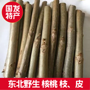 东北长白山野生山核桃树枝新鲜核桃树枝非青核桃皮外皮树根中药材