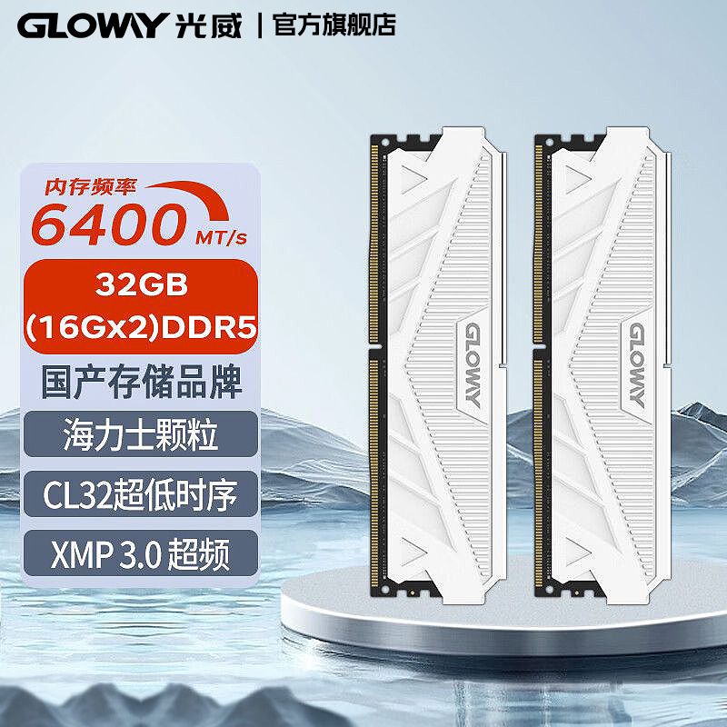 Gloway光威DDR5 32GB (16GBx1) 5200 臺(tái)式機(jī)內(nèi)存條 天策