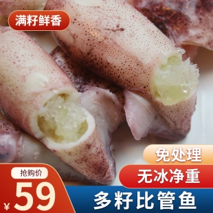 海兔子满籽新鲜笔管鱼带籽海兔墨鱼仔小鱿鱼海鲜水产带籽大海兔