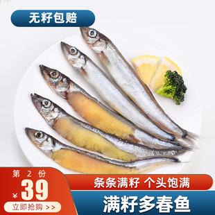 满籽多春鱼新鲜多籽鱼宝宝辅食鲜活冷冻鱼籽海鲜水产烧烤食材包邮