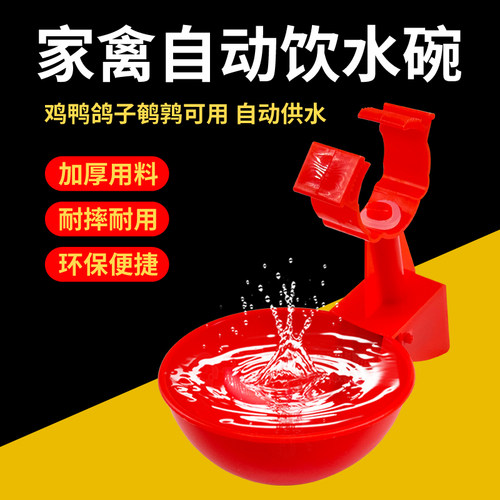 家禽饮水器全自动新款卡式喂鸡自动饮水器鸡鸭鸽子饮水碗养殖水碗