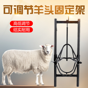 羊头固定架剪羊毛架子升降羊用固定器打针保定架挤羊奶推毛羊笼头