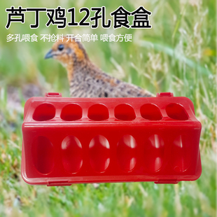 芦丁鸡食槽养鸡小型喂食器槽子自动喂食器鹌鹑小鸡饲养养殖专用