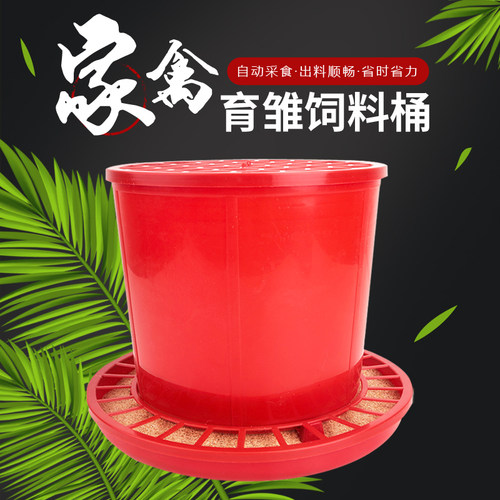 新款鹌鹑自动料桶育雏料桶下料器鸡用喂食加盖防扒喂鸡食桶