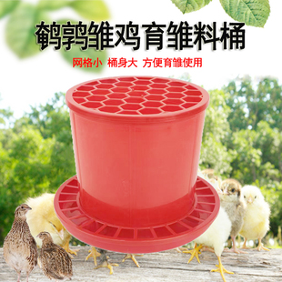 鹌鹑育雏小鸡料桶雏鸡饲料桶小网格鹌鹑专用自动下料桶养殖用品