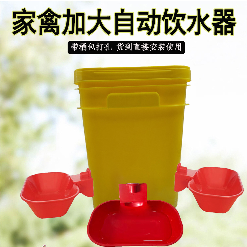 家禽大水碗鸡鸭鹅水碗鸟喂水神器