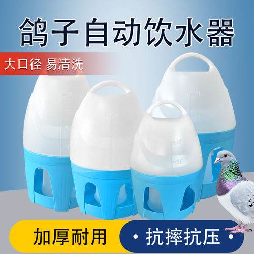 鸽子水壶加厚耐摔抗冻蓝白鸽子饮水器喂水壶鸽子水桶自动喂水器