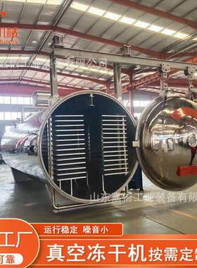 厂家酸奶块低温干燥机草莓脆真空冻干机FD冻干草莓脆冻干机