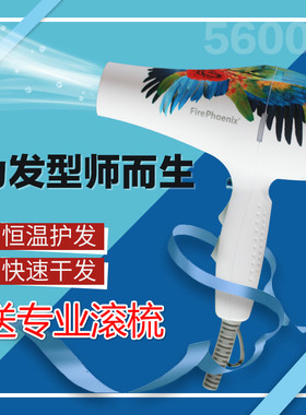火之凤电吹风5600A大功率2000W静音超轻专业美发电吹风机吹风筒