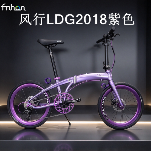 新款风行FNHONLDG海豚折叠车